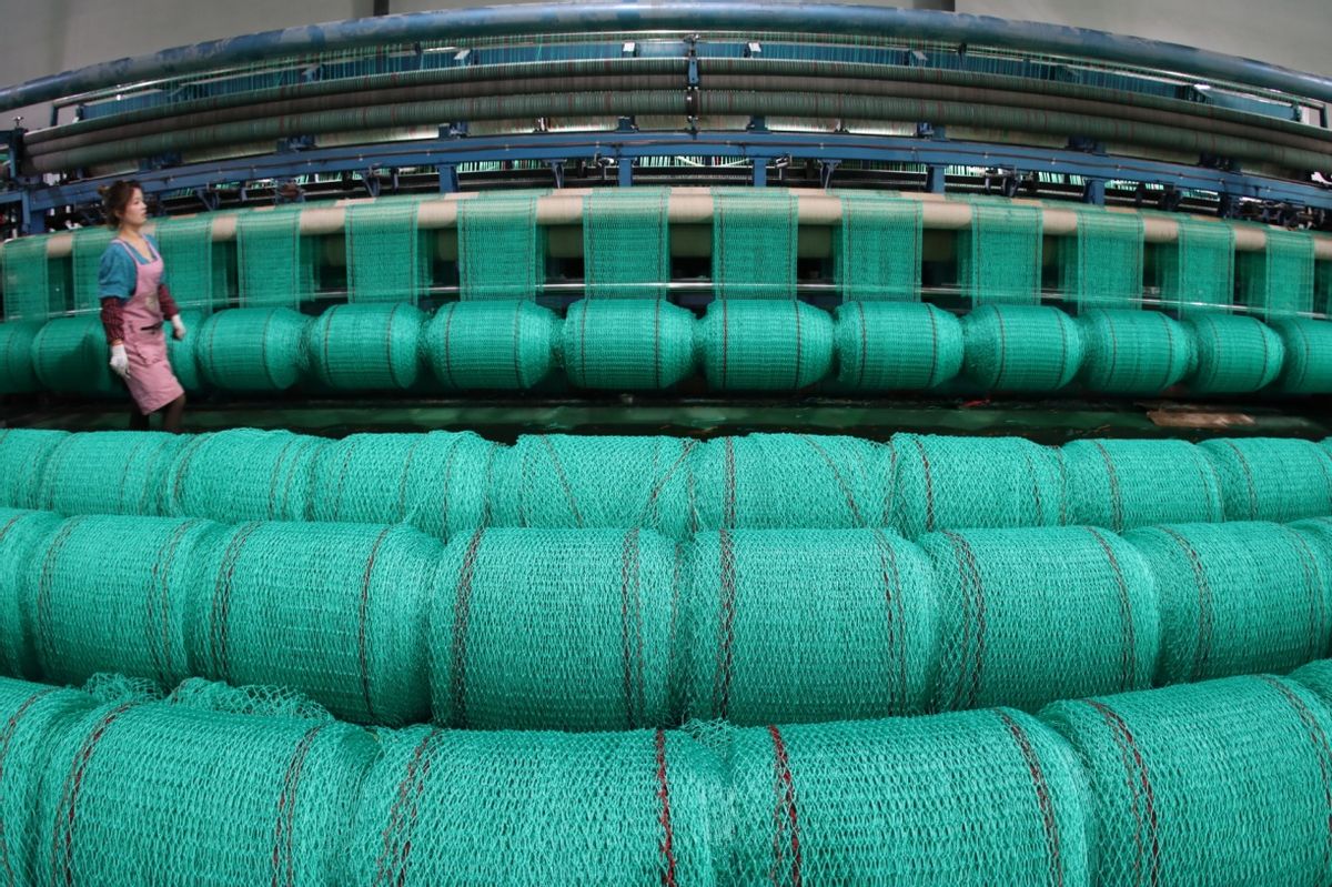 无棣伟达网具厂地址 (无棣伟达网具厂)