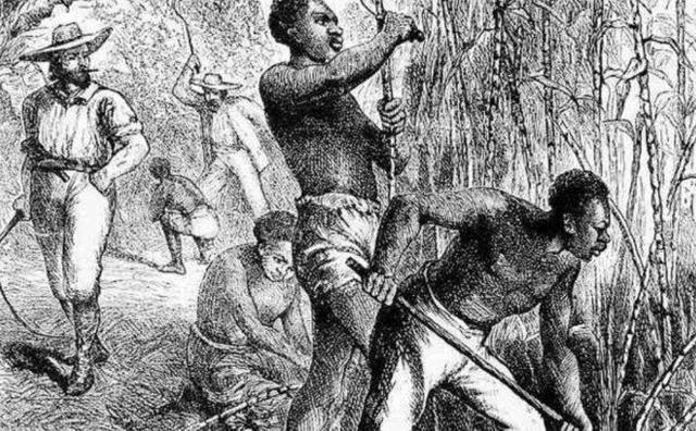 华盛顿故居发现地下通道，曝惊人内幕：他私自蓄养*奴女**