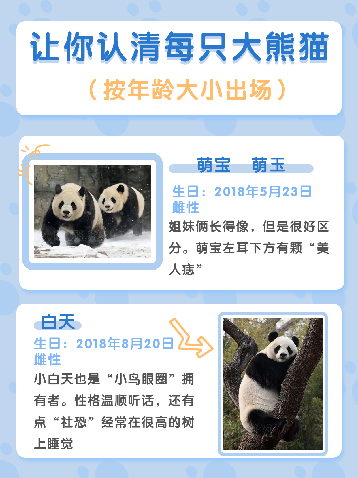 北京动物园游玩攻略路线图,游览北京动物园需要提前购票吗