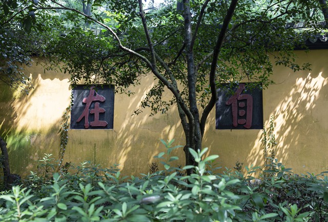 身心放松的催眠练习,放松身心的冥想声音