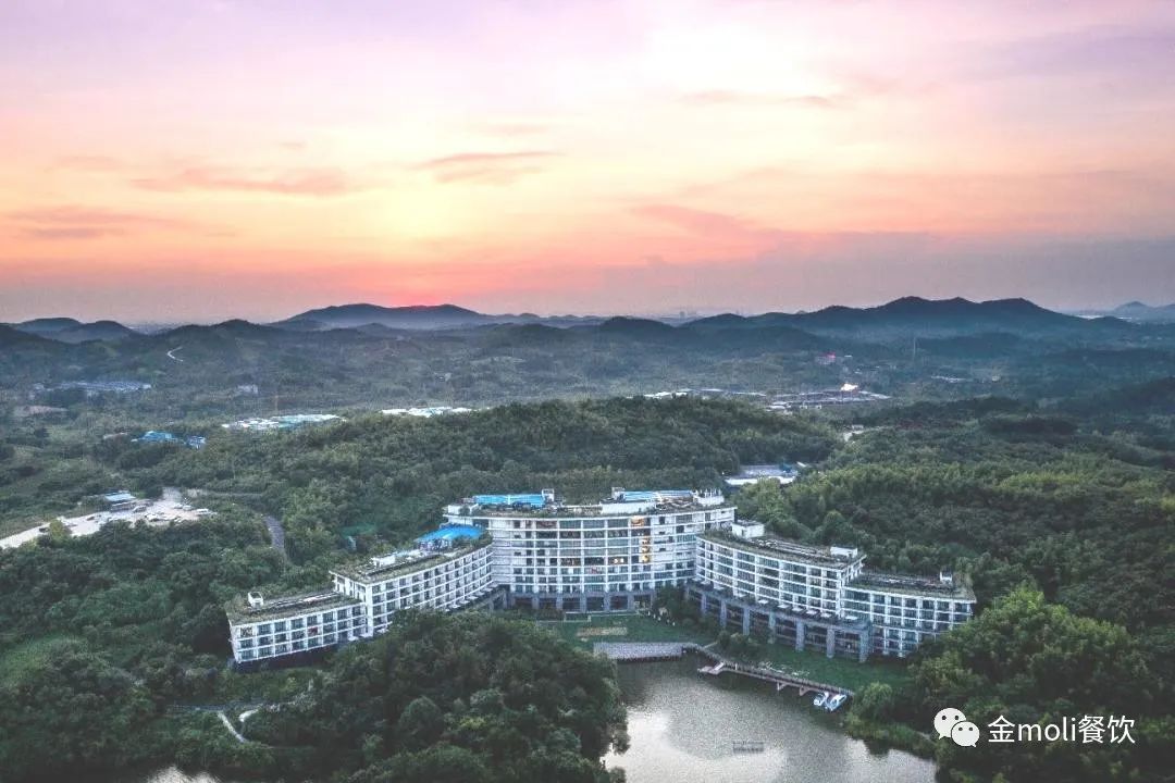 金茉莉餐厅什么意思,金茉莉饭店