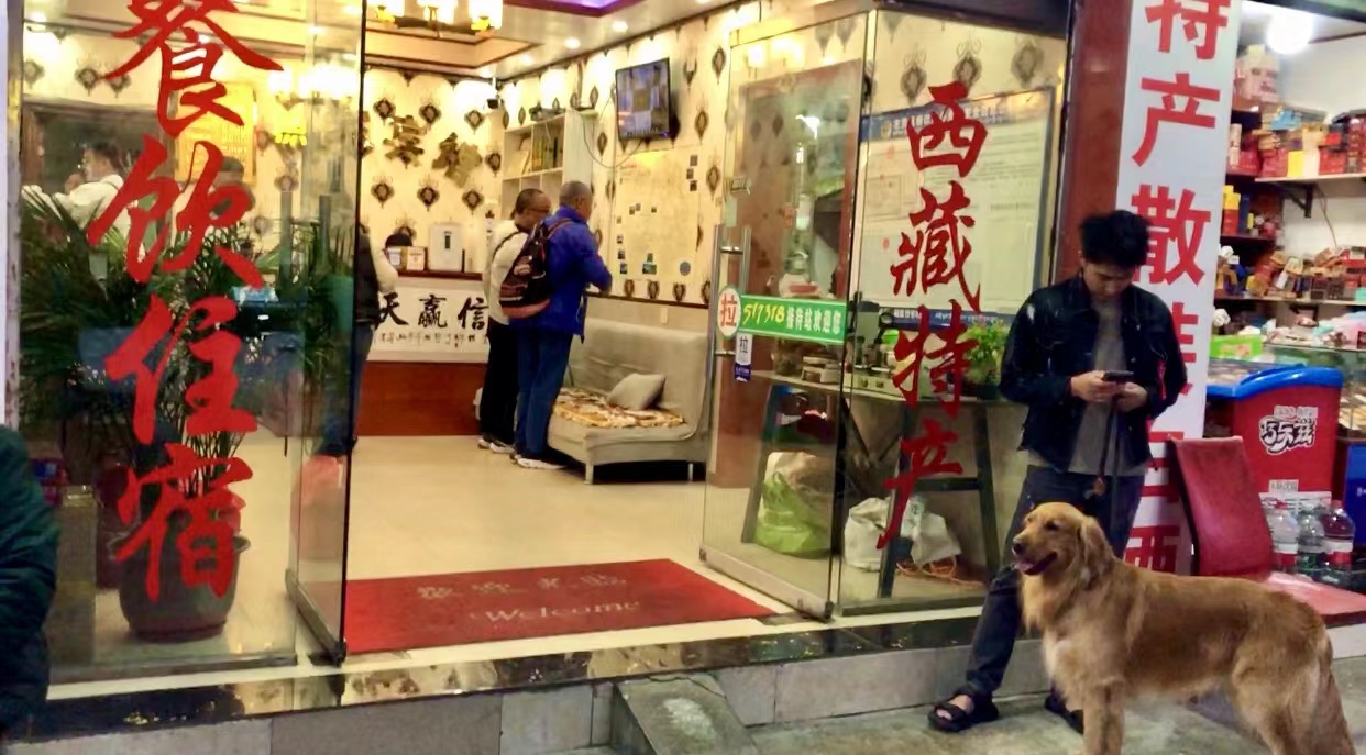 进藏联通有信号吗,去西藏移动信号还是联通信号好