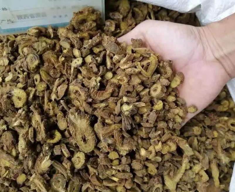 什么类型的中医治疗肾问题,中医治肾以什么为本