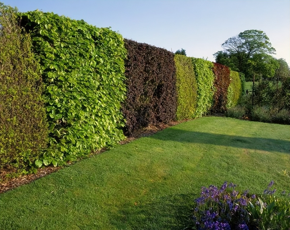 简述中国园林的特点,园林景观大揭秘