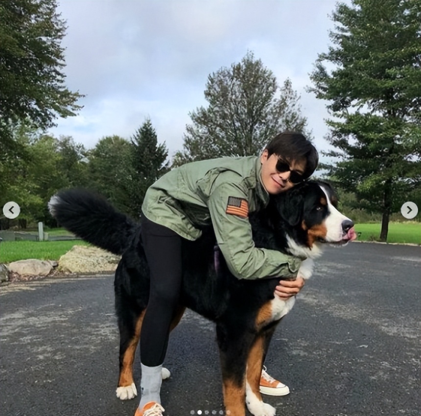 韩国明星虐猫事件,韩国虐待明星案