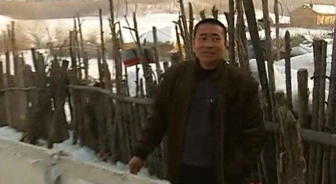 吉林男子救助傻狍子,吉林男子救助动物