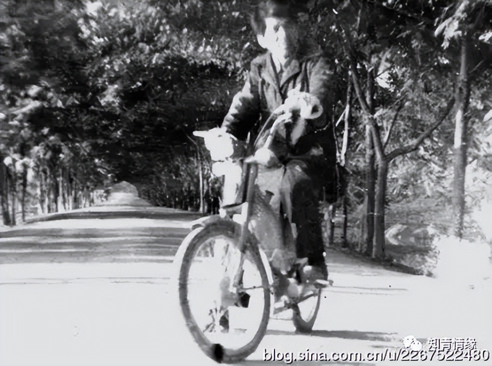 我当知青那些年,我当知青