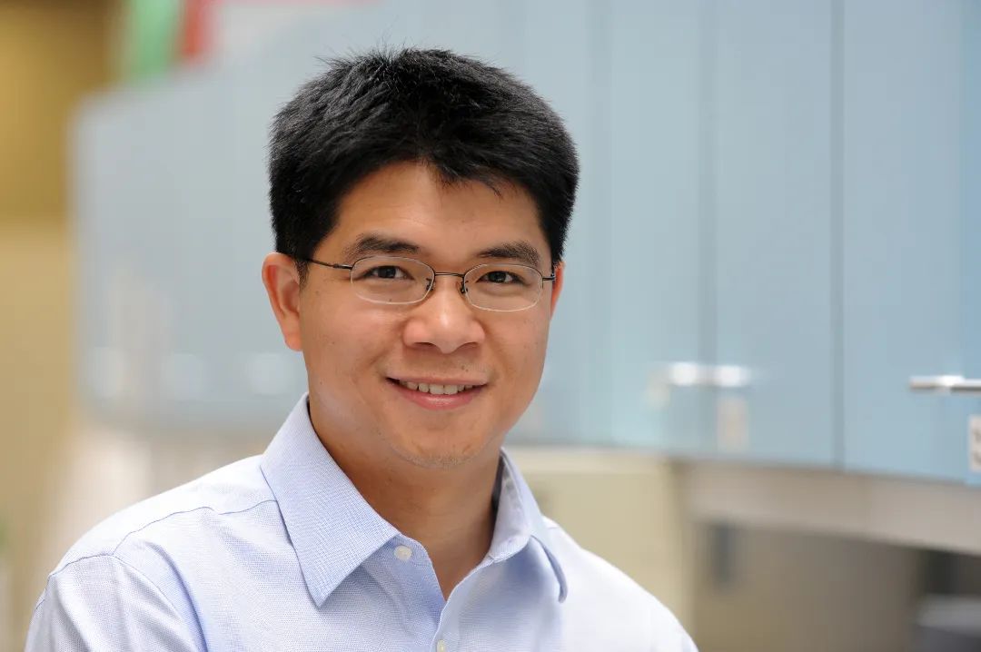 王宝俊教授浙江大学,王宝俊浙江大学