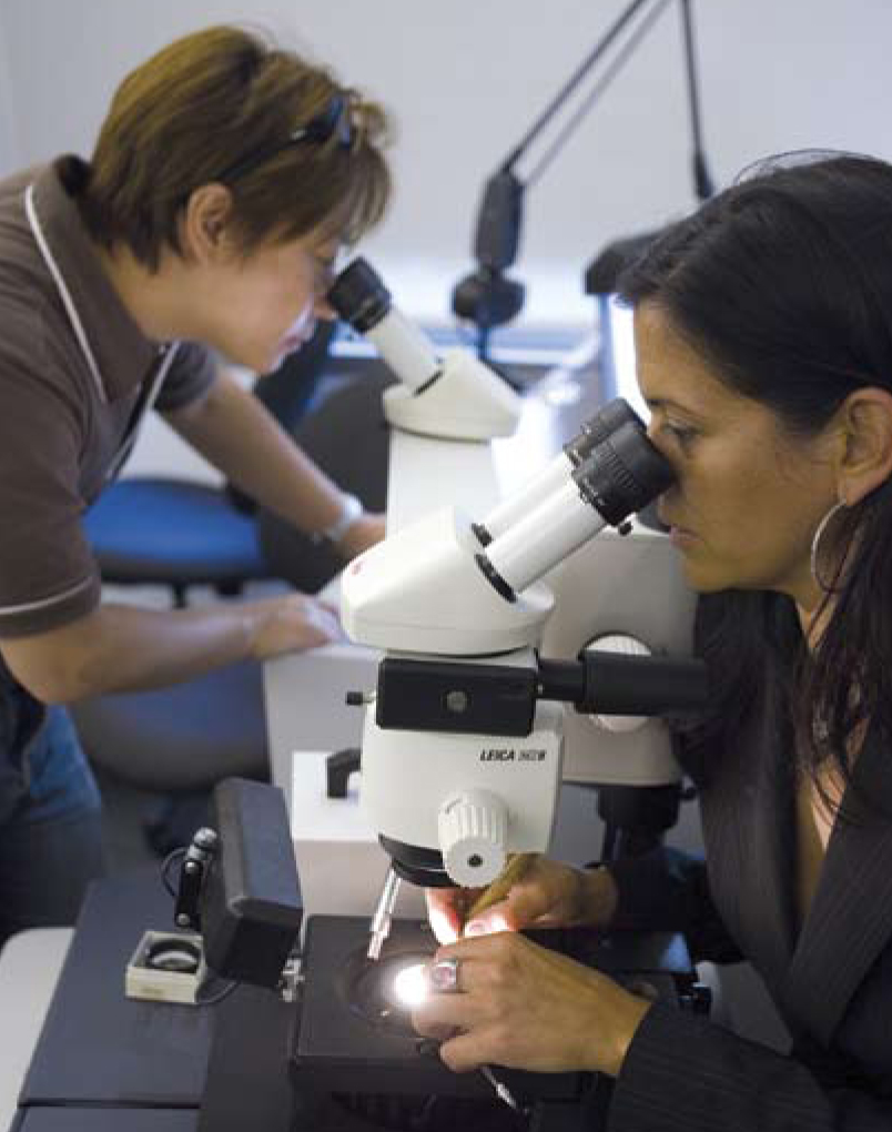 人造钻石现状和发展趋势,人工钻石最新消息