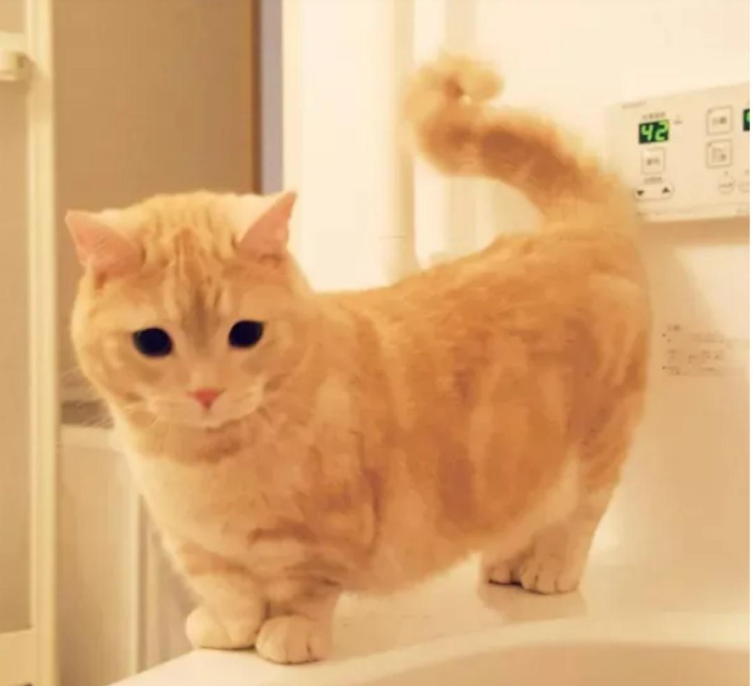 东营海创园,东营区海创园