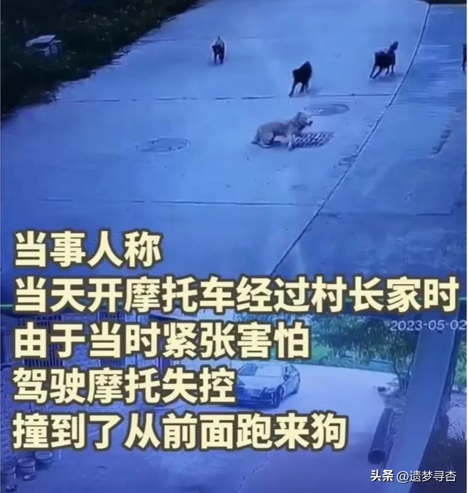 撞了村长的狗有结果了吗,村民撞了村长家狗