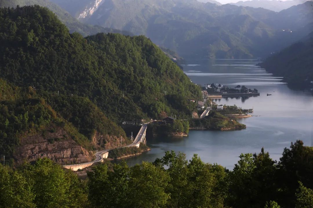 重庆乡村振兴示范村名单,重庆乡村一日游哪些地方好耍