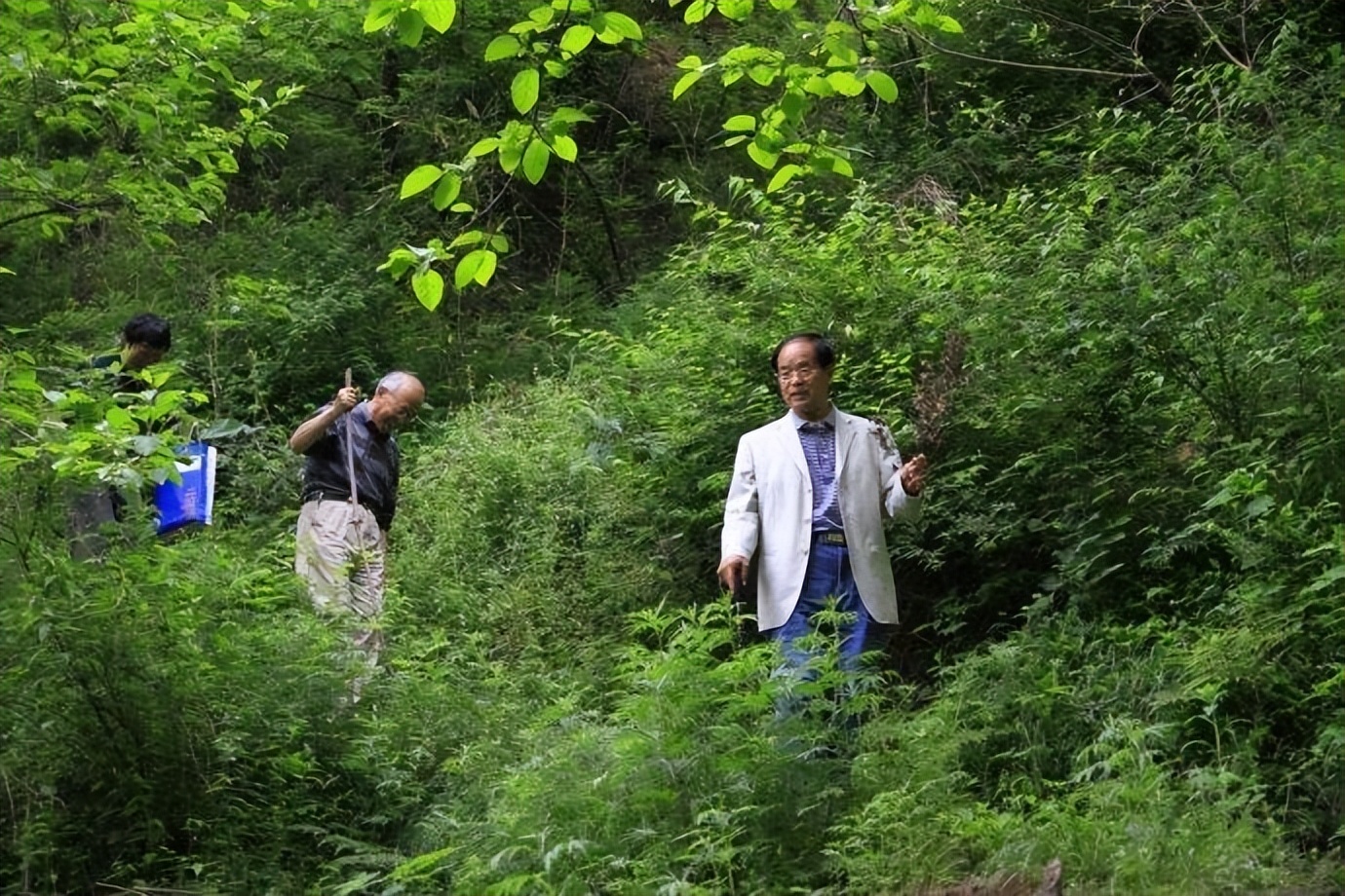 终南山上万隐士都是在修行吗,终南山隐居到底有多恐怖