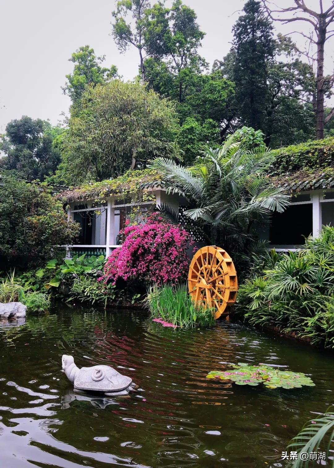 慢下来看风景静下来陶冶情操,慢下来享受安静的惬意时光