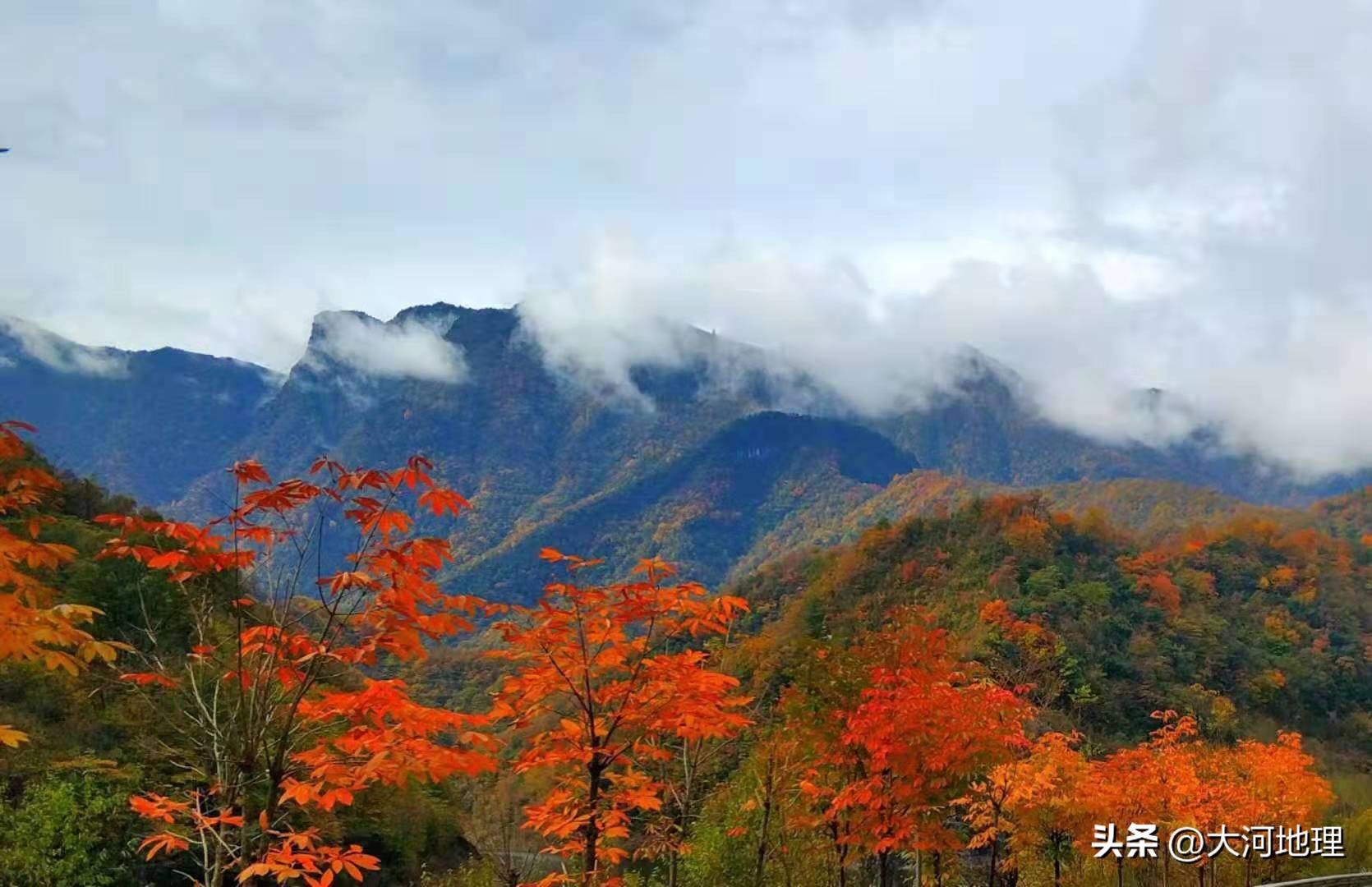 旅游攻略国内十大必去景点南方,中国南方著名景点