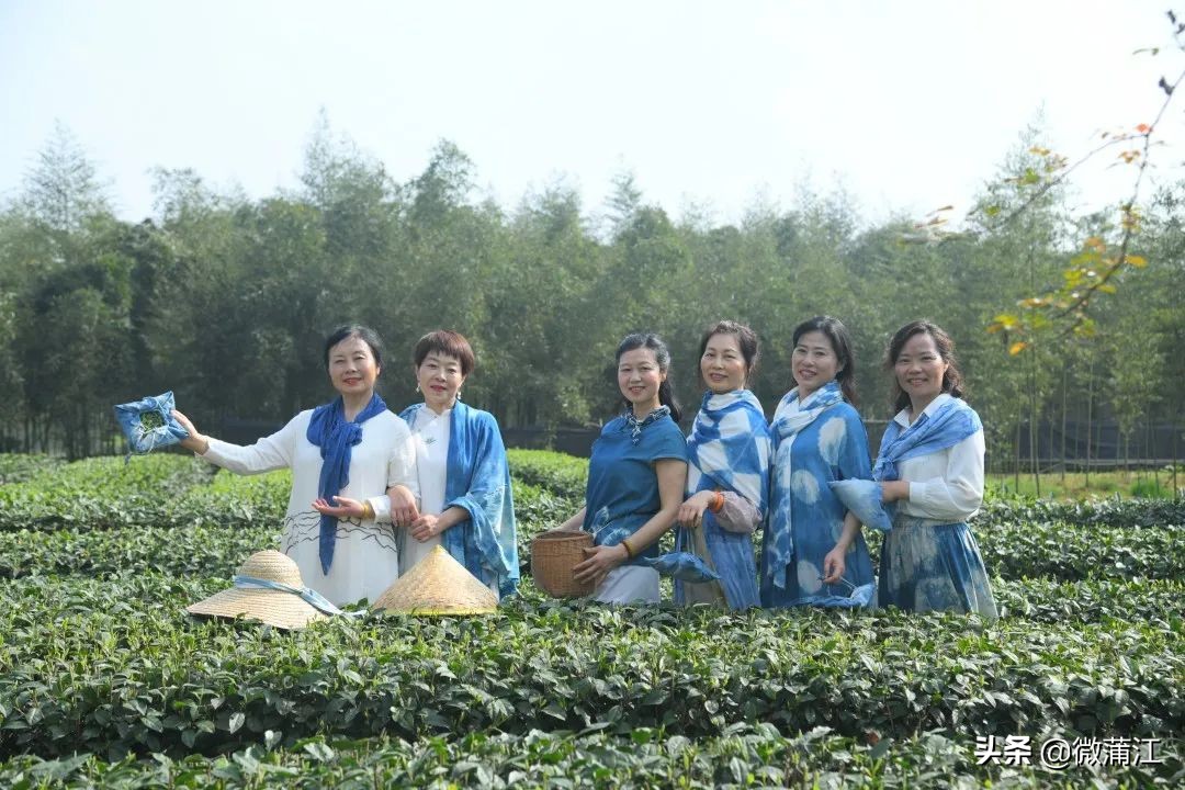 创建文明乡村,创建美丽乡村的标准是什么