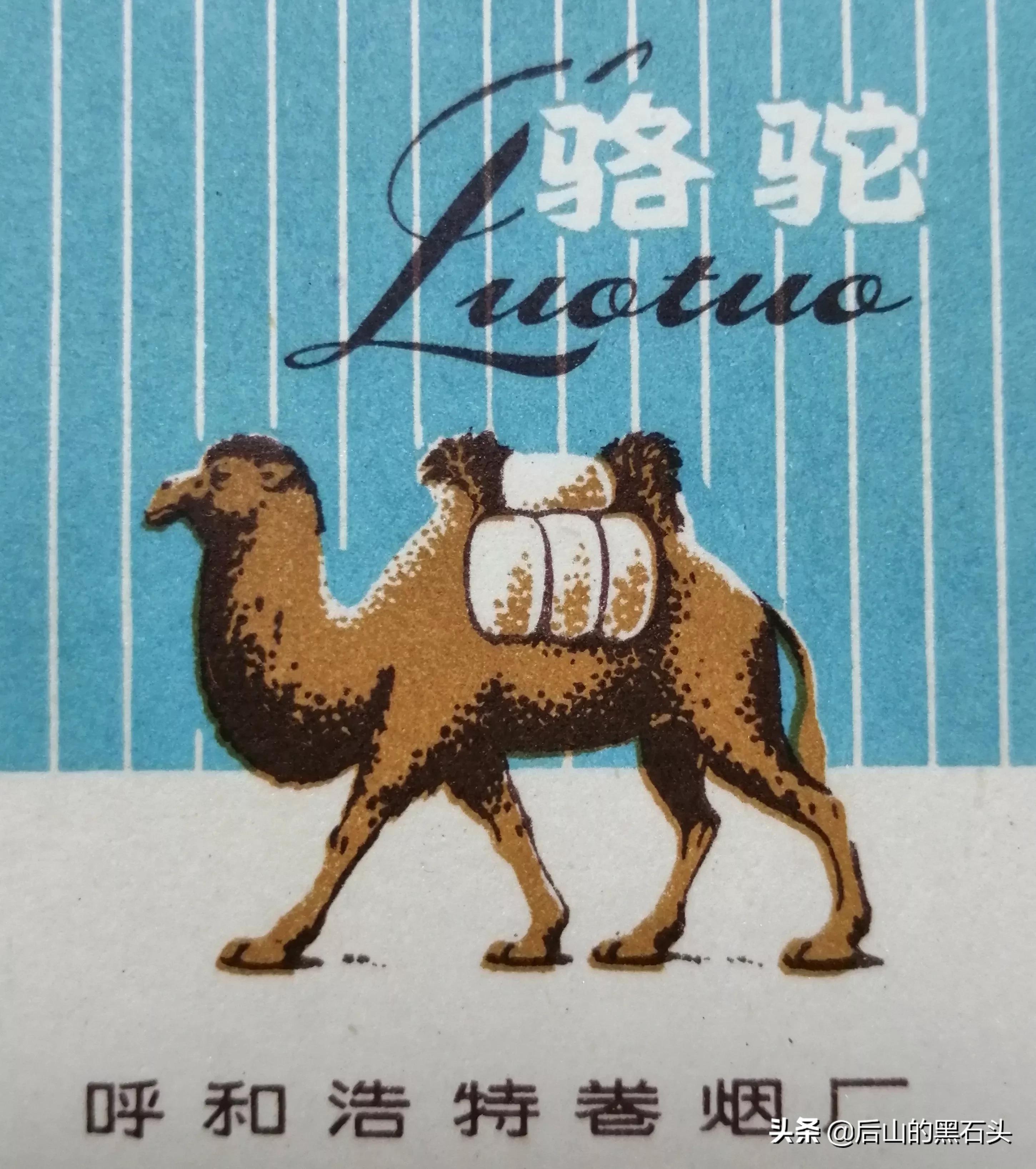 呼和浩特卷烟厂老烟标收藏品赏析之10：骆驼