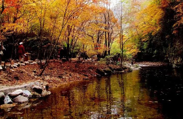 辽宁本溪市,辽宁本溪市共享租赁项目加盟电话