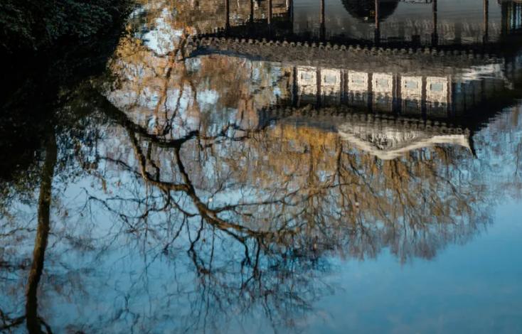 “客厅养树，十有九富”！老祖宗留下的“规矩”，说的太有道理了