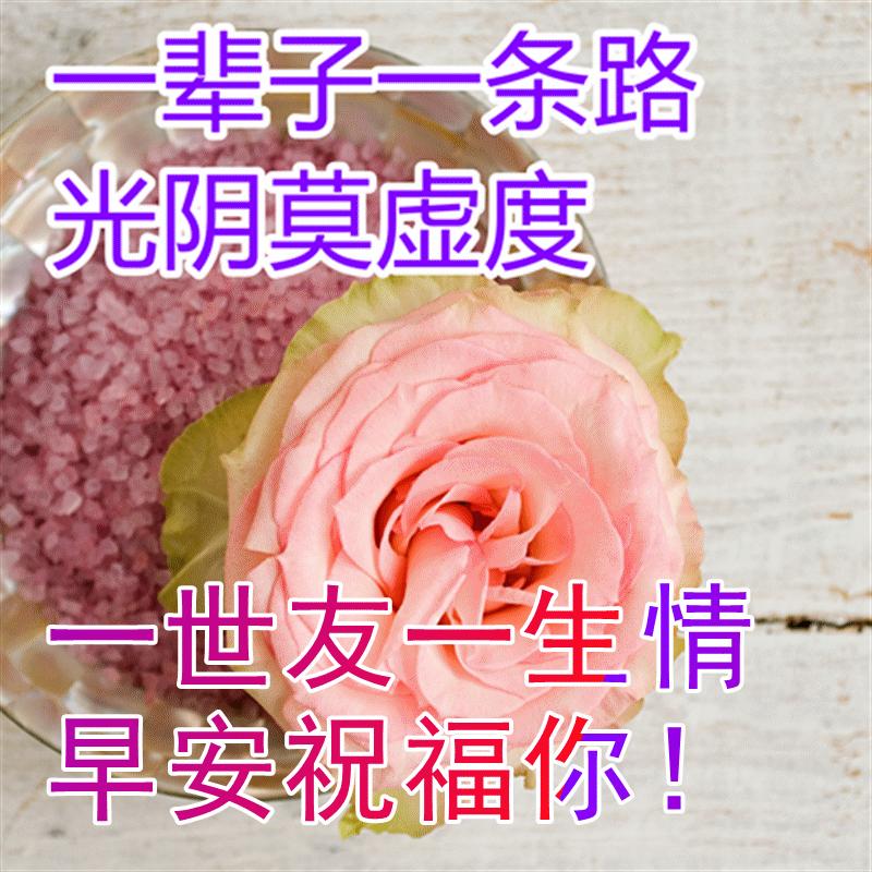 早上好温馨祝福语录动图表情,周日早上好祝福语动态表情图片