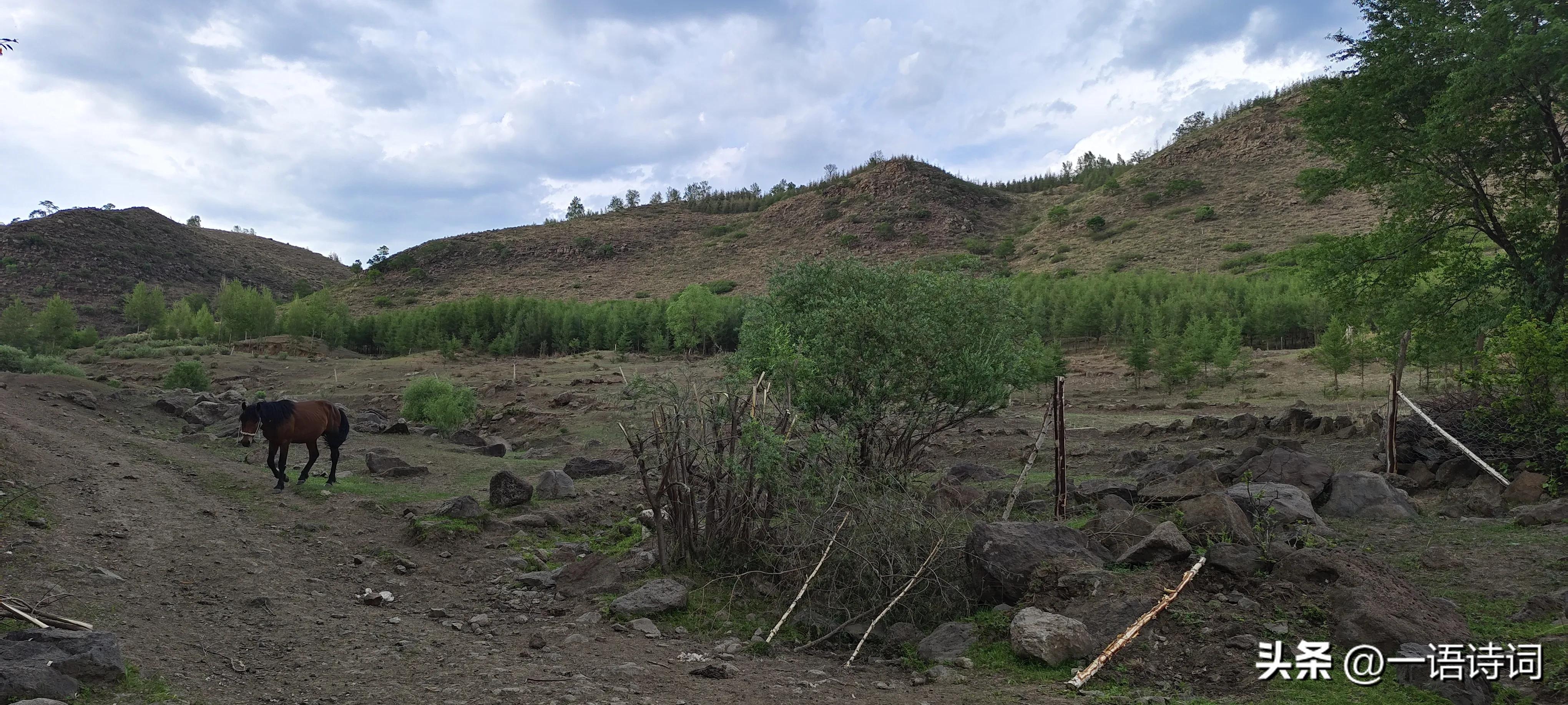 什么是原创诗歌,诗歌什么叫作品真实原创