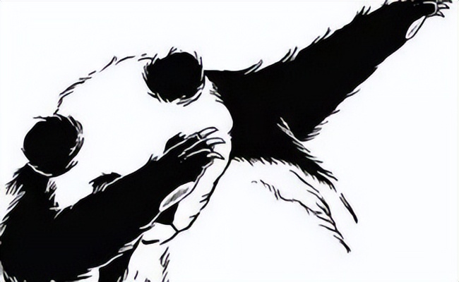 十个关于狗狗的冷知识,十个狗狗冷知识了解一下