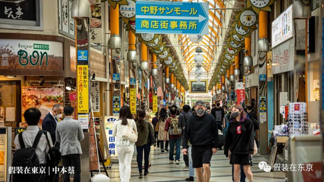 365张照片回顾,365张相片