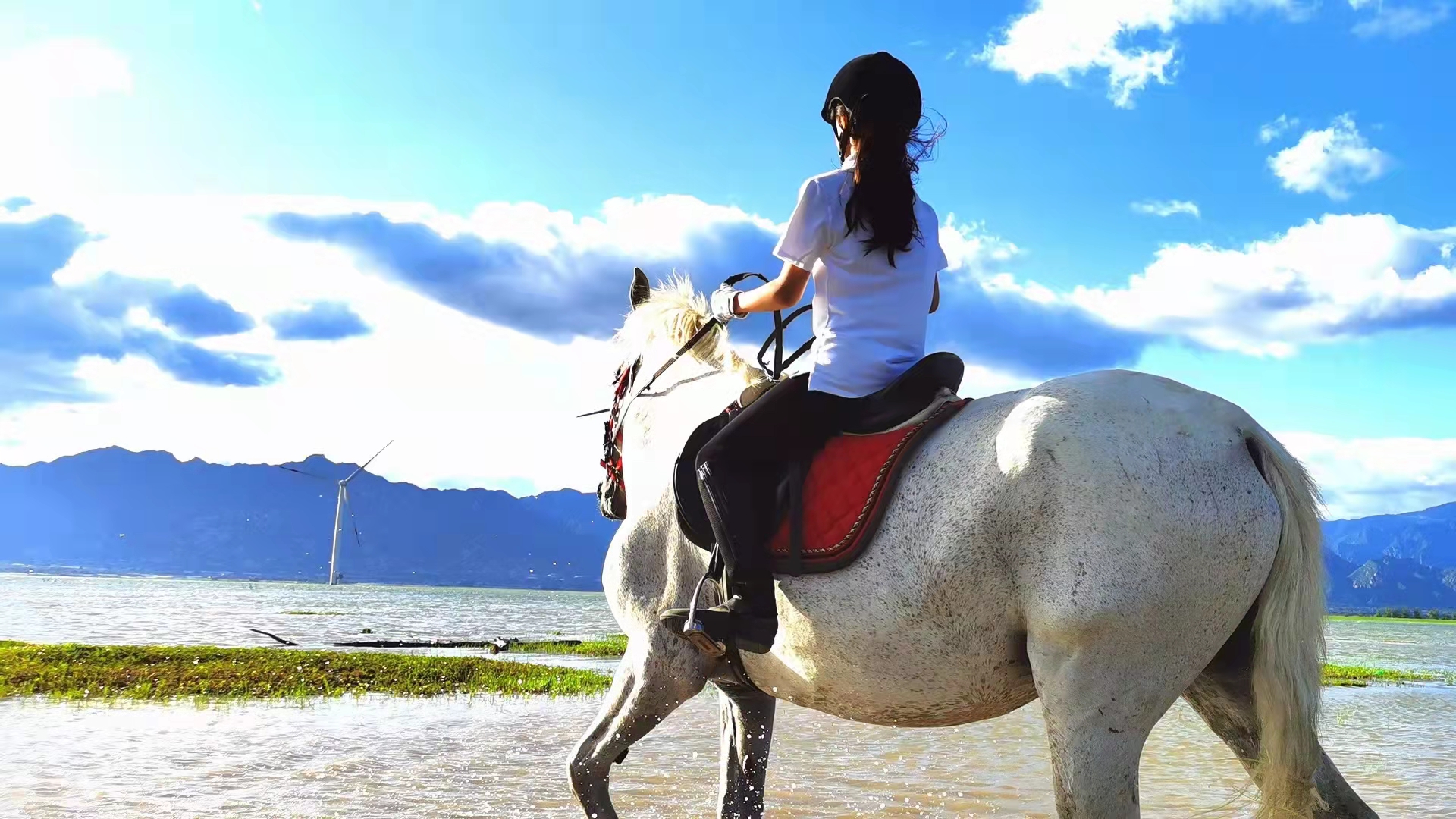 2023华杯赛夏令营,华誉外交官