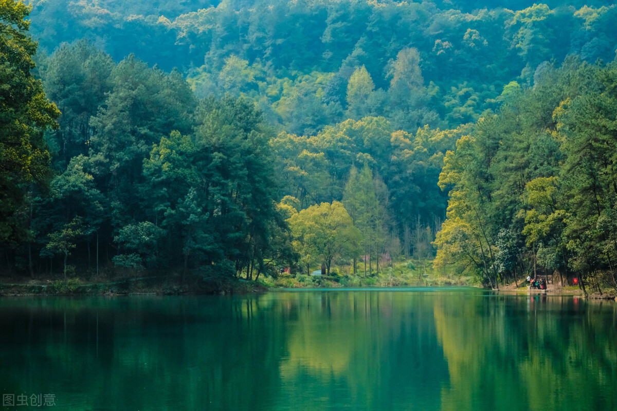 贺知章回乡偶书表达无奈诗句,贺知章回乡偶书的名句