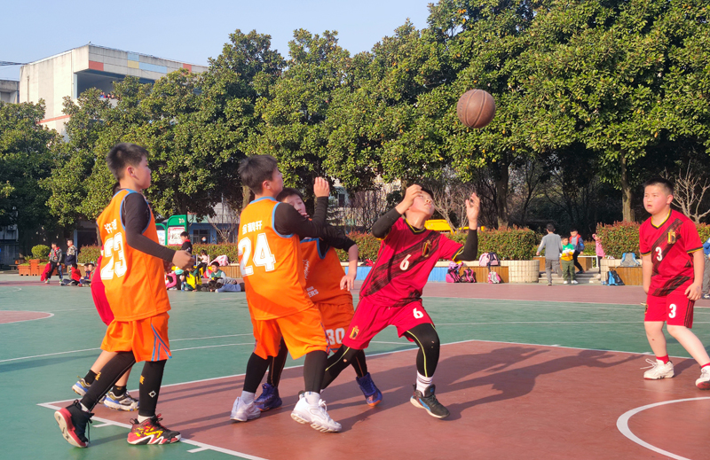 蜀山区小学生篮球比赛,合肥青年路小学篮球队比赛