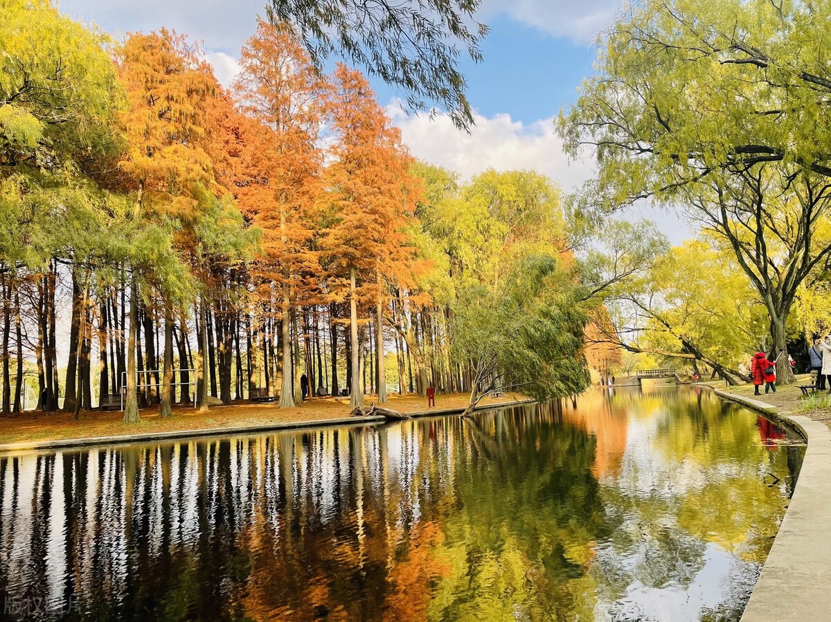 上海游玩免费景点推荐,上海推荐逛的免费景点