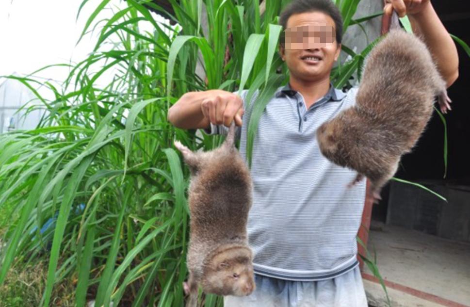 刚出生的小孩皮肤有黑斑,全身长满黑斑的小孩后来怎样了