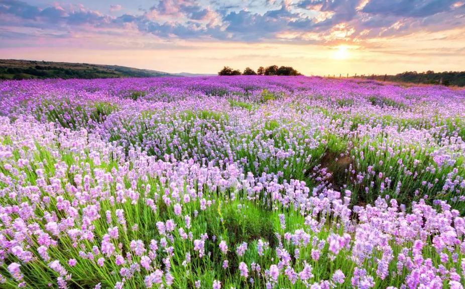 磁盘满了清理了一些文件还是爆满,微信个人文件磁盘满了怎么清理