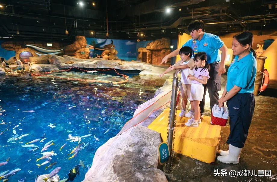 成都直通香港的高铁,成都高铁到达香港