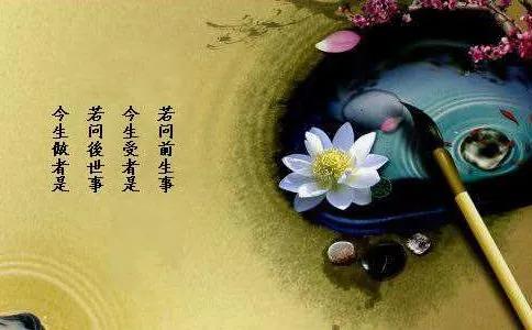 佛说善念的经典句子,佛说心存善念必有善行