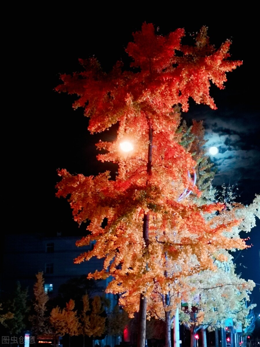 李兰芳书法作品,李兰芳原唱