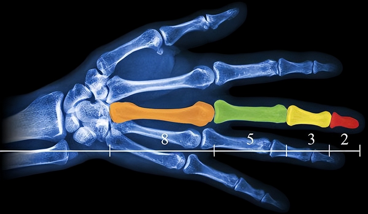 上帝的数字代码,上帝的数字7