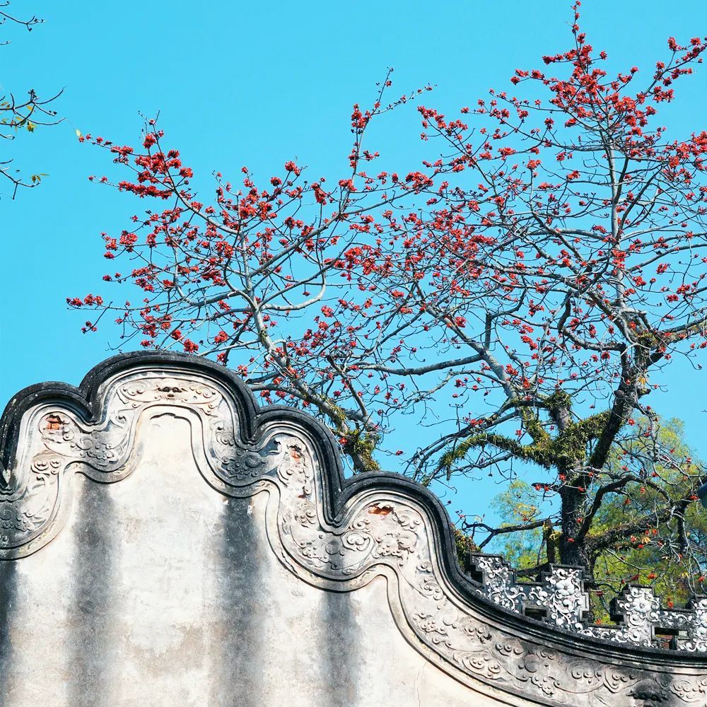 初探简介,初探沉玉谷