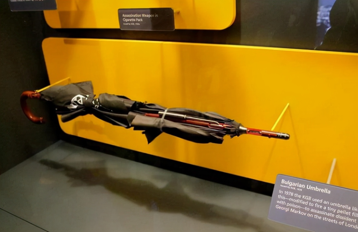 蓖麻子真的有剧毒吗,野生蓖麻的毒害