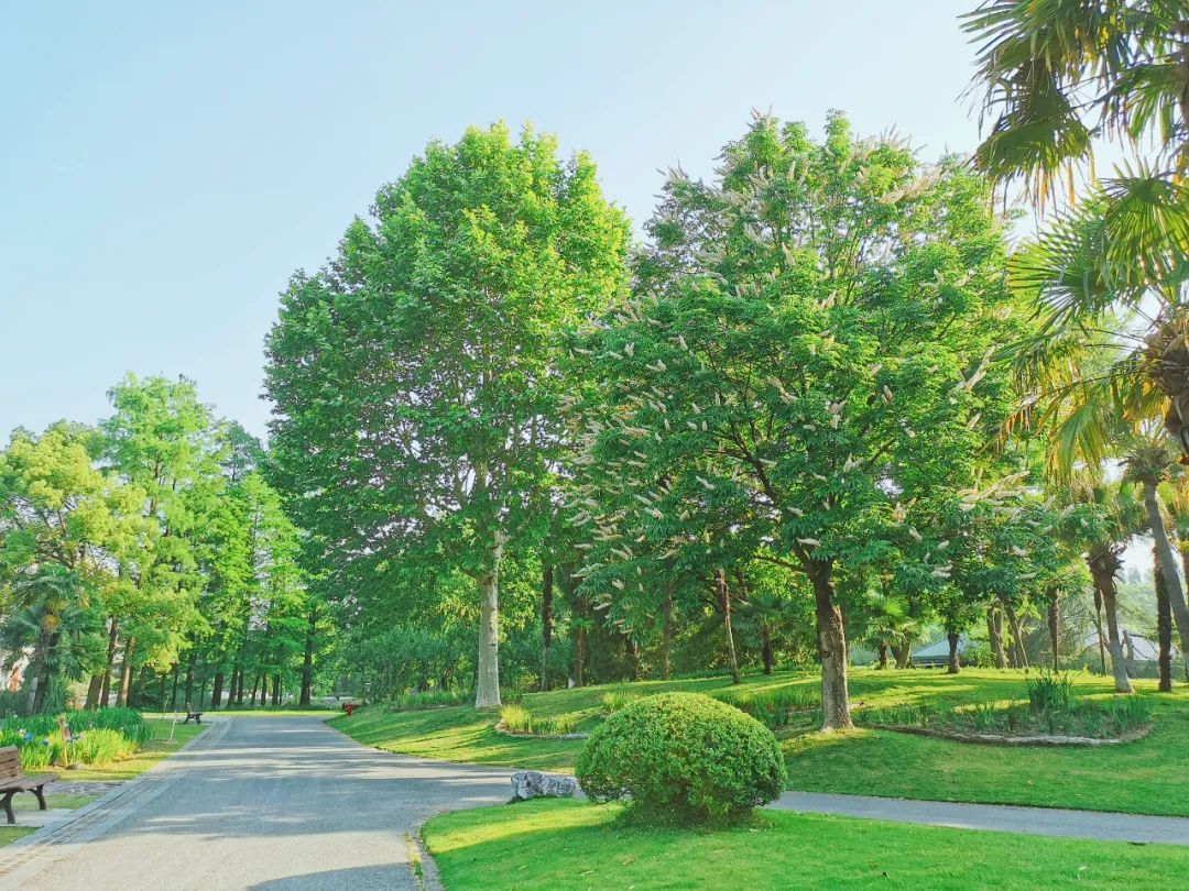 上海野生动物园端午节游玩门票,上海野生动物园年卡节假日