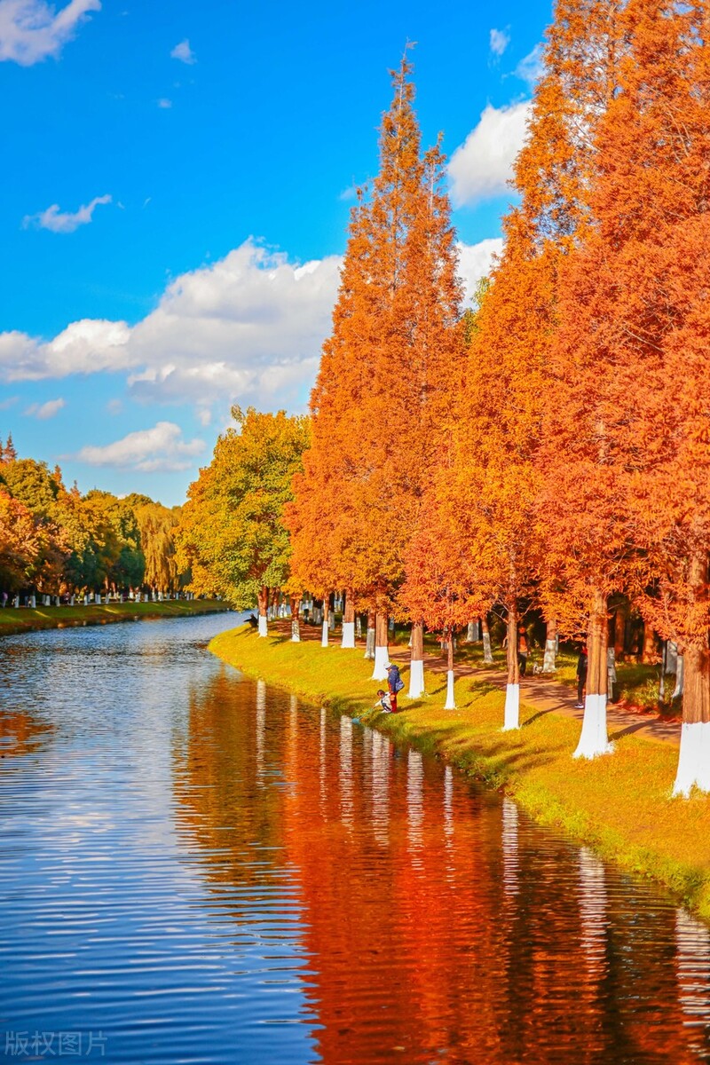 云南昆明春城游玩攻略,春城之约昆明旅游攻略