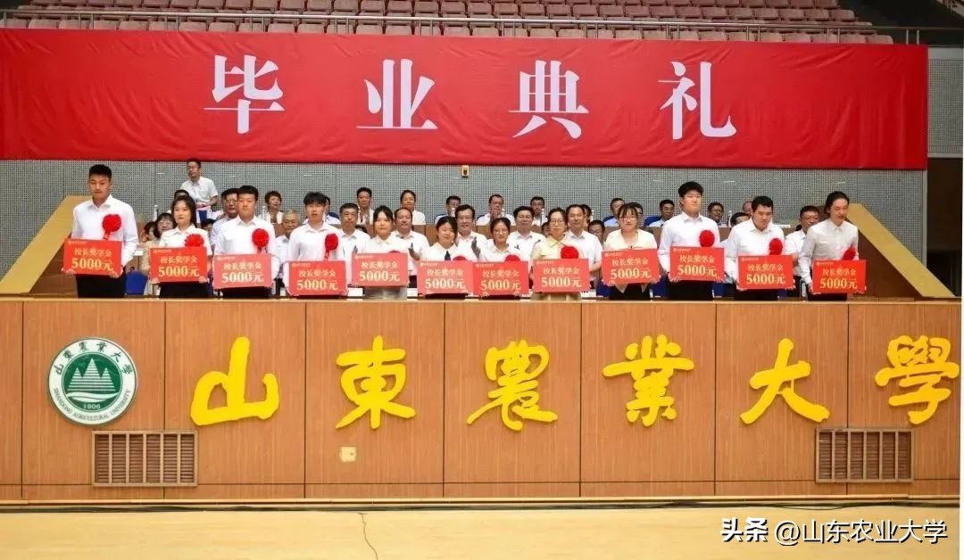 我校2019届本科生毕业典礼,西宁第四高级中学2023毕业典礼