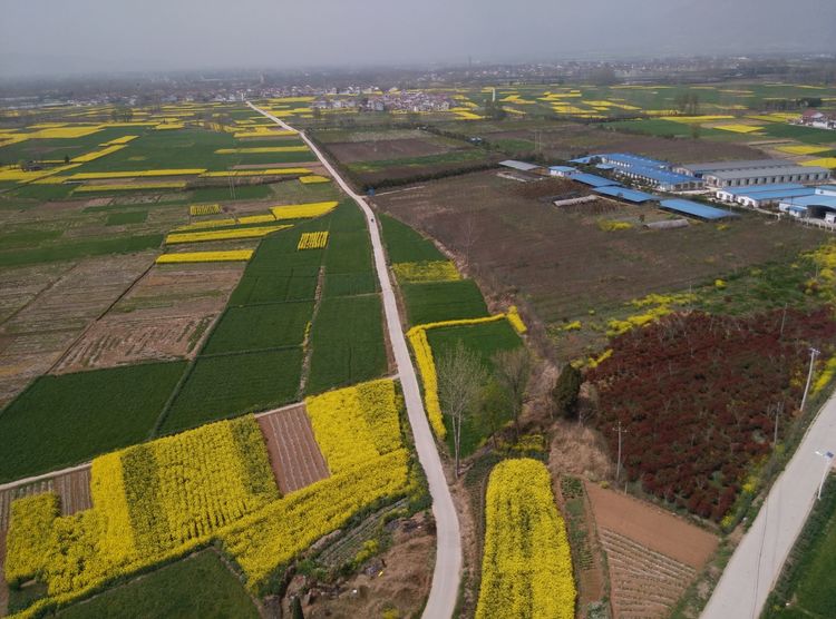 汉中最大三线厂汉江工具厂,汉中城固三线故事