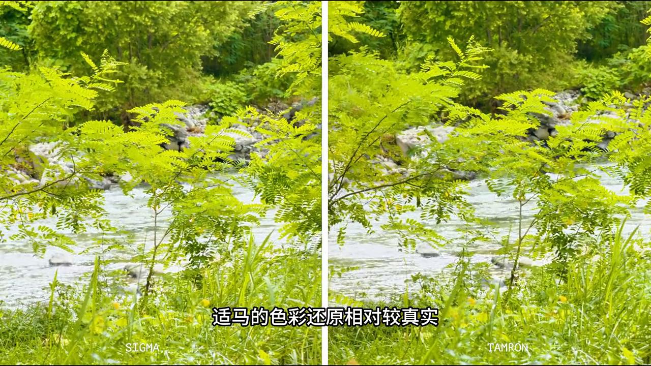 腾龙1770f2.8和适马1850哪个好,镜头腾龙18-200好还是18-135好