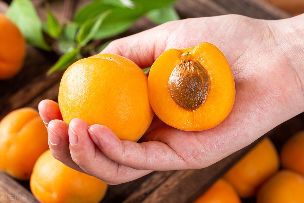 甘肃的什么地方的水果最好吃,甘肃的特色水果是什么