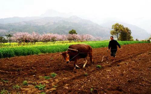 2022非转农业户口需要哪些条件,非转农户口需要哪些手续