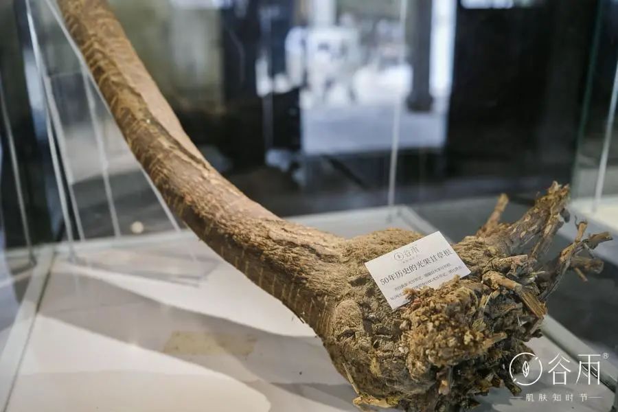 谷雨护肤品哪些单品卖得最好的,谷雨国货