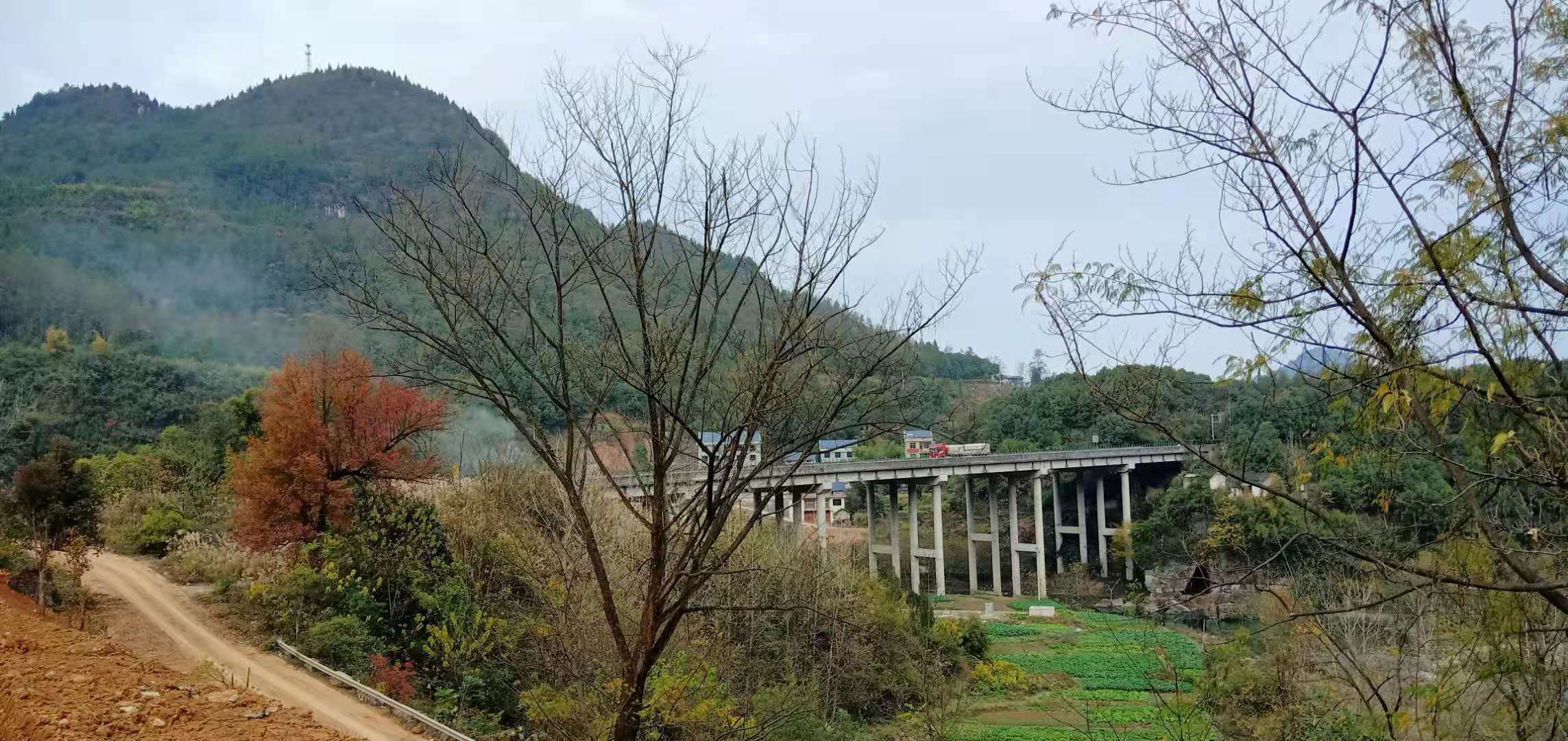 人老了怎么办（转载）