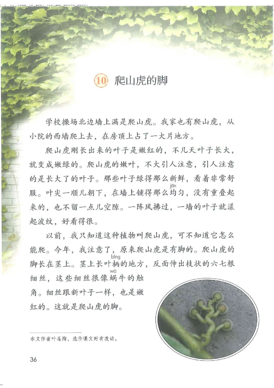 电子课本|人教部编版教材小学语文四年级（上册）课本-暑假预习