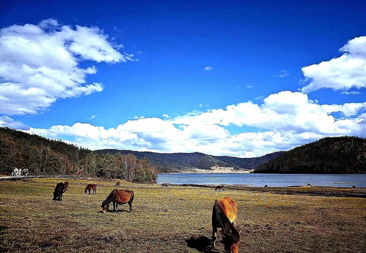 云南红河哈尼族彝族自治州景区,云南五一免门票景区名单2022